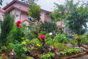 ogród przed domem pełnym kwiatów w obiekcie Townside Lodge w mieście Nuwara Eliya