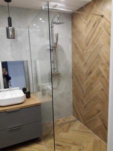 ein Bad mit einer Dusche und einem Waschbecken in der Unterkunft Apartament Wiżajny in Wiżajny
