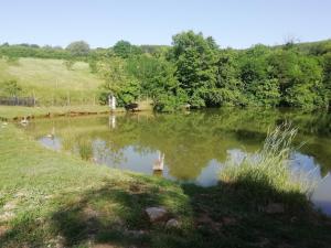 a pond with some animals in the water at Vlajina brvnara in Arandjelovac