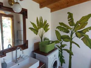a bathroom with a sink and a plant on the wall at Varias Art House in Kallirákhi +44 photos