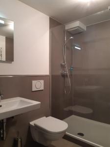 a bathroom with a shower and a toilet and a sink at Stilvolles Studio im Allgäu in Rettenbach am Auerberg +8 photos