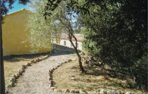 Ein Baum, der mitten auf einer unbefestigten Straße sitzt. in der Unterkunft Li Scalitti 1 in Badesi + 11 Fotos