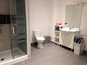 een badkamer met een toilet, een wastafel en een douche bij Maison de centre ville 6 personnes in Précigné