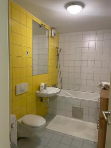 a bathroom with a toilet and a sink and a tub at House Marin II - Apartment in Maribor