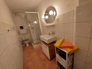 a bathroom with a sink and a toilet and a mirror at Kiek mol rin - Richmanns Appartements in Hüde