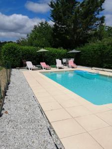 a swimming pool with chairs and umbrellas in a yard at Le Grand Chemin de La Vie in Montcaret