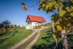 Vonkajšia záhrada v ubytovaní Ferienwohnung Perner - die Huabm