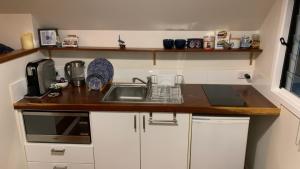 una pequeña cocina con fregadero y microondas en Mountain Studio Escape en Mount Tamborine
