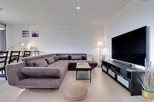 TV a/nebo společenská místnost v ubytování Andiamo Apartment