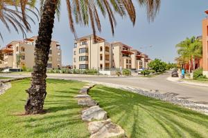 a palm tree and a road in front of a building at Andiamo Apartment in Vilamoura