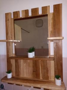 a mirror with three potted plants on a wooden shelf at Vikendica Ivana in Divčibare