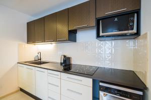 A kitchen or kitchenette at Andante Panoráma Apartman