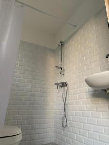 La salle de bains est pourvue d'une douche, de toilettes et d'un lavabo. dans l'établissement LE JACQUIER Appartements neufs vue mer ou jardin à Mamoudzou Hyper Centre, à Mamoudzou