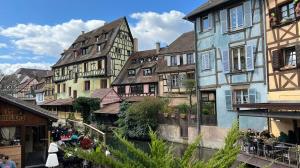 a group of buildings in a town with a river at Gite See You Soon - Studio Zen in Colmar