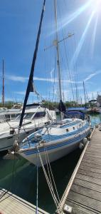 拉羅歇爾的住宿－Baladin - Dormir sur un voilier By Nuits au Port，停靠在水面码头的帆船