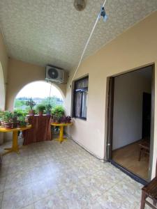 a room with an open door and a table with plants at Hostel DIA in Tsqaltubo