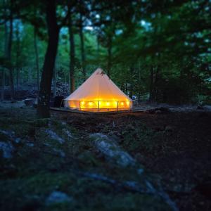 a lit up tent in the woods at night at Naturglamping in Kristianstad