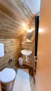 Šljivovica的住宿－Brvnara Miris Bora，一间带卫生间和水槽的浴室