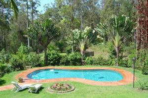 a swimming pool in a yard with two chairs and trees at Riviera Bed & Breakfast in Gold Coast