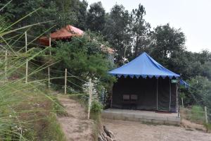 Forest Acres Camps外面的花园