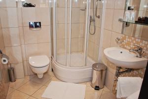 a bathroom with a shower and a toilet and a sink at Hotel Pod Lwem in Elblag