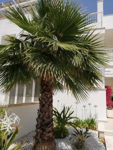 A garden outside Residence Valentina int 4 - Rooftop Sea View Infinity Pool