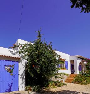 une maison avec une porte bleue et une brousse dans l'établissement Villa Geckos Charming holiday finca 5 min by car to the fabulous Cala Salada beach, à Sant Antoni de Portmany