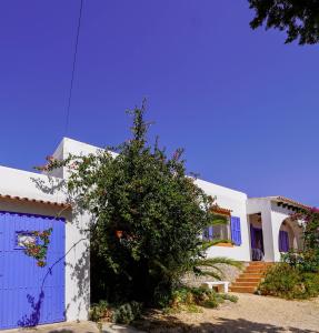 a house with a blue door and a bush at Villa Geckos Charming holiday finca 5 min by car to the fabulous Cala Salada beach in San Antonio
