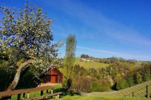 Príroda v okolí apartmánu