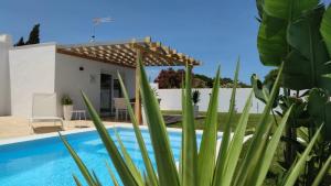 Basen w obiekcie PALAPA GARDEN alojamientos, piscina privada y cerca del mar lub w pobliżu