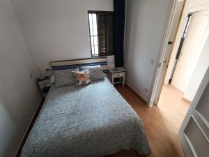 1 dormitorio con 1 cama grande con alfombra azul en Apartamento en Cala de Finestrat en Cala de Finestrat