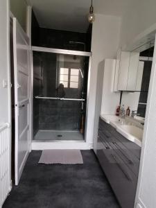 ein Badezimmer mit Dusche und Waschbecken in der Unterkunft Appartement 85 m2 centre-ville entièrement rénové in Le Creusot