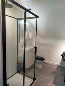 Koupelna v ubytování ConcarnOLoc + 58 fotografií