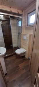 a small bathroom with a toilet and a shower at Agroturystyka SABAT in Imielno