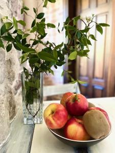 Gallery image of Una apartments in Kotor