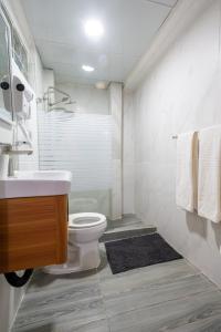 y baño con aseo, ducha y lavamanos. en Acogedor estudio 7 en la Zona Colonial en Santo Domingo