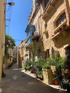 House of Character in Historical Rabat في ربات: زقاق فيه مباني ونباتات جانبيه