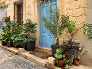 House of Character in Historical Rabat في ربات: مجموعة من النباتات الفخارية أمام الباب الأزرق
