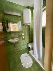 Koupelna v ubytování Apartmani Zorica