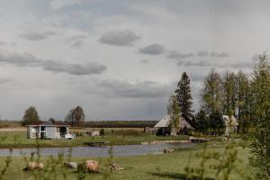 a house in a field next to a river at Vienkiemio oazė - Skandinaviškas namelis su vaizdu į tvenkinį in Galvokai