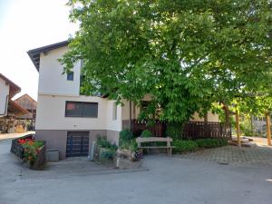 a house with a tree and a bench in front of it at Sobe Levc in Mozirje