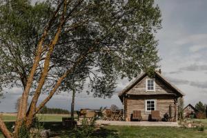 a small house in a field with a tree at Vienkiemio Oazė - Pasakų namelis in Galvokai