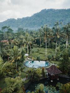 an aerial view of a resort with a pool and palm trees at Griya Valud in Sidemen