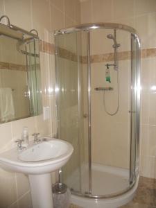 La salle de bains est pourvue d'une douche et d'un lavabo. dans l'établissement B&B The Silver Eel, à Strokestown