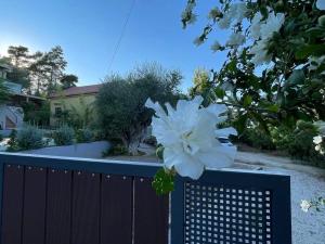 Zahrada ubytování Family maisonette 3min walk to the beach