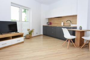 Kuchnia lub aneks kuchenny w obiekcie Apartamenty Legionów 30