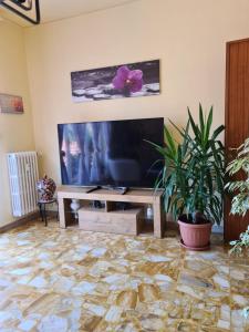 a living room with a flat screen tv and plants at Casa dell amore 4 in Sanremo