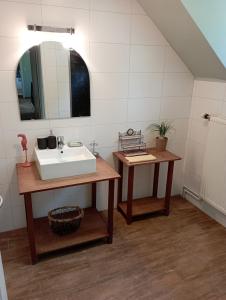 a bathroom with a sink and a mirror at Villa Viveye in Ferrières