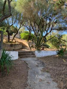 a walkway in a park with trees and stairs at Casa Le Cicale in Porto Istana
