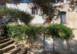 a building with stairs and a tree in front of it at Casa Le Cicale in Porto Istana